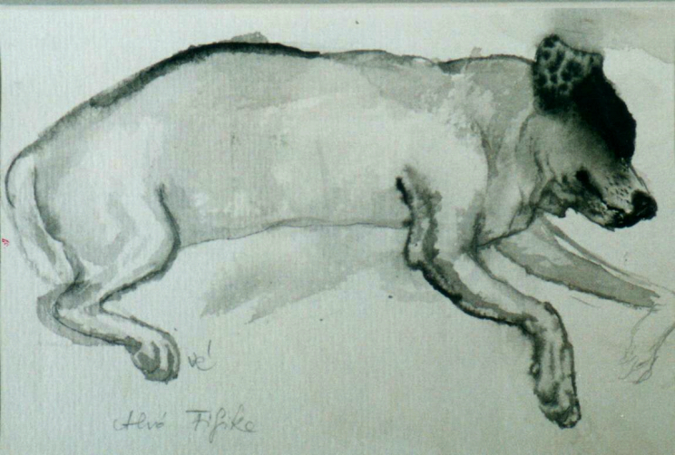 Varga Éva:  Fifike, akvarell,1997.